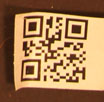 corn_qr.jpg